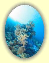 IMG_2007_05_27 17_46_26 * 1670 x 2232 * (500KB)